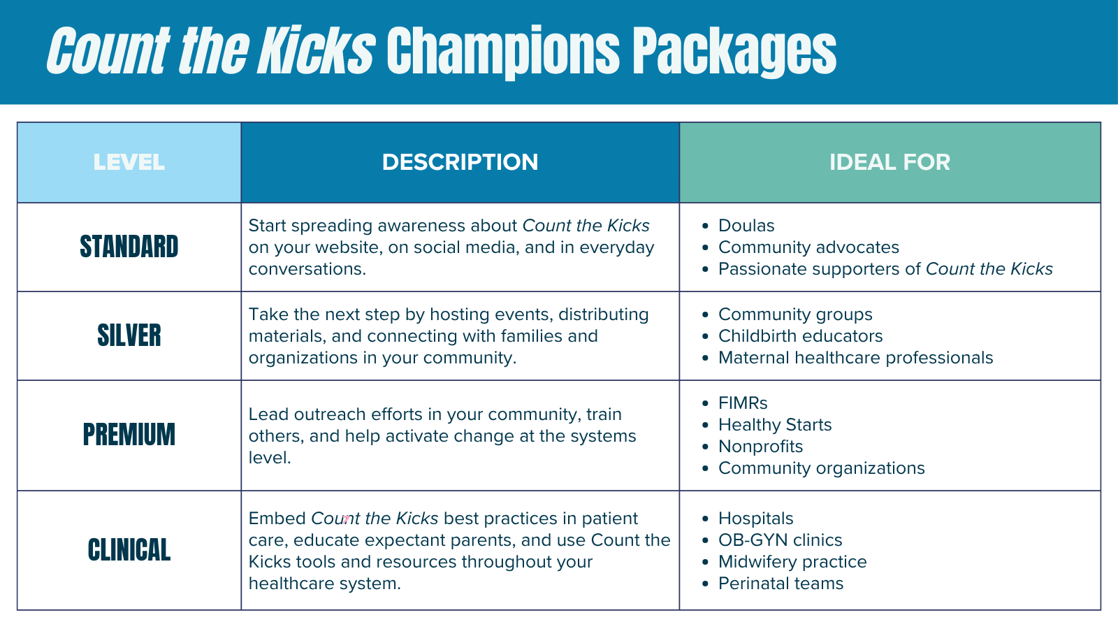 Count the Kicks Champions levels