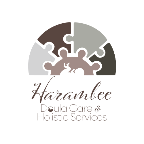 Harambee Doula Care Champions Logo Canva